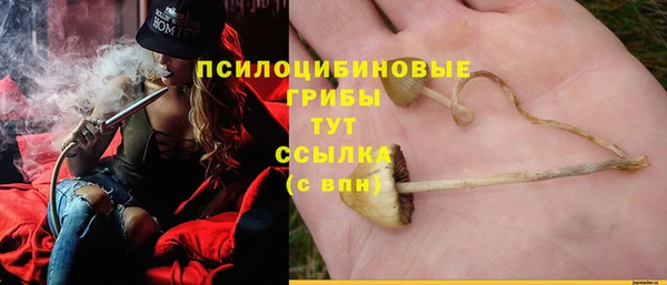 ПСИЛОЦИБИНОВЫЕ ГРИБЫ Нея