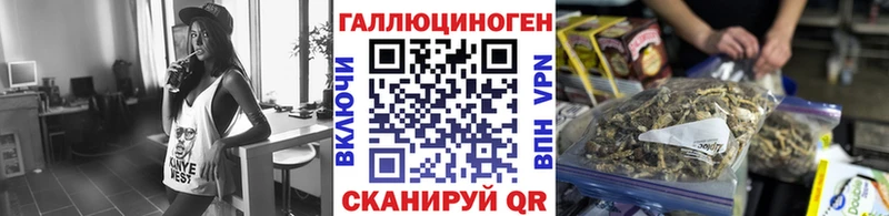кракен зеркало  Домодедово  Псилоцибиновые грибы Magic Shrooms 