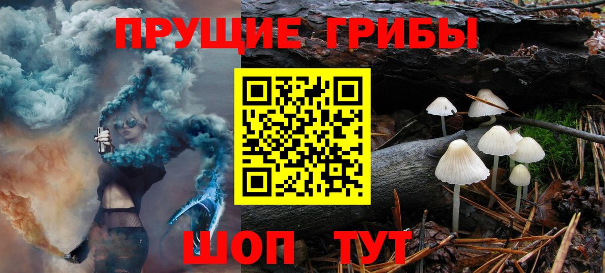 Домодедово  купить   Вход с VPN  Псилоцибиновые грибы мухоморы 