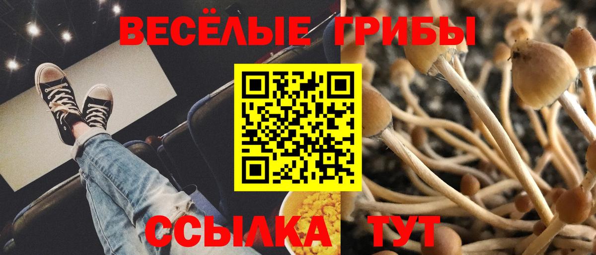 Псилоцибиновые грибы прущие грибы Домодедово